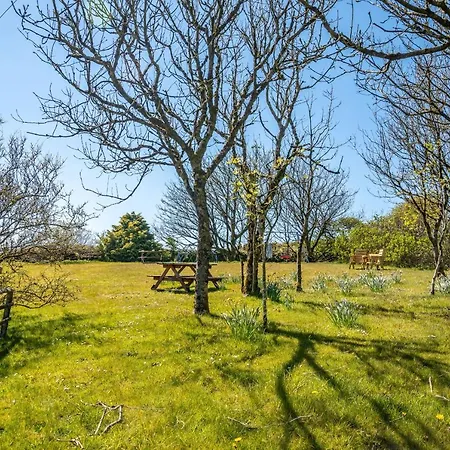 Polrunny Farm Sea View Blueberry With Log Burner