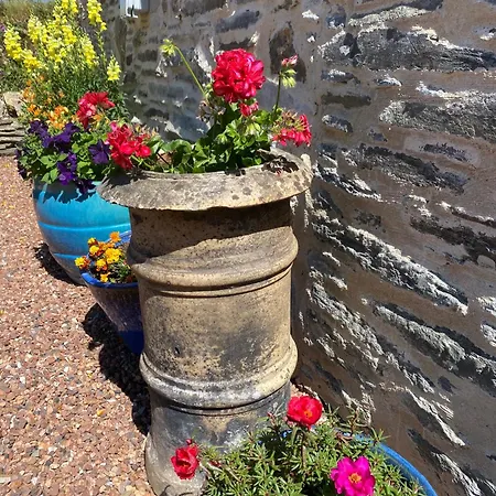 Apartment Polrunny Farm Sea View Blueberry With Log Burner *